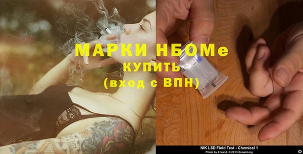 крисы Бронницы