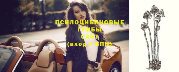 крисы Бронницы