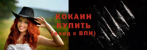 Альфа ПВП Бородино