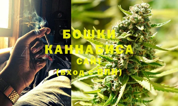 крисы Бронницы