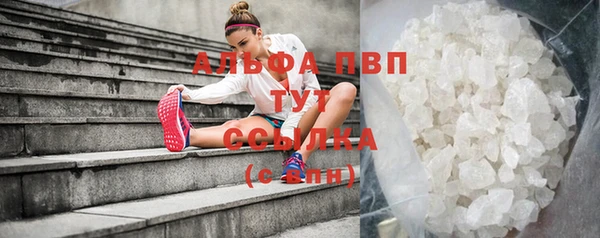 Альфа ПВП Бородино