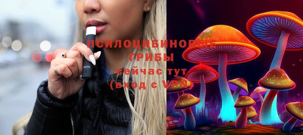 Альфа ПВП Бородино