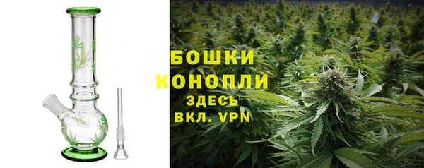 Альфа ПВП Бородино