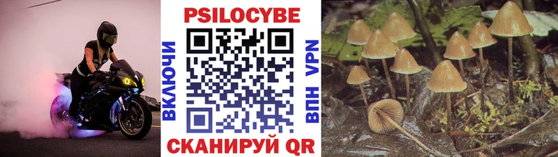Купить где  Кореновск  Псилоцибиновые грибы ЛСД 